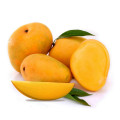 Mangoes Fruits