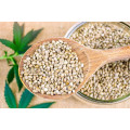 Hemp Seeds