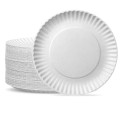 Disposable Plates