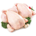 Poultry Meat