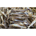 Dried Anchovy Fishes